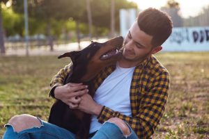 Un perro adulto recibiendo caricias afectuosas de una persona sonriente
