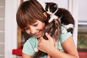 Gatos y emociones: los beneficios de convivir con un felino - Img Gatos 1
