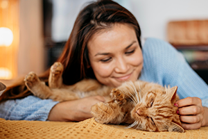 Gatos y emociones: los beneficios de convivir con un felino - Img Gatos 2