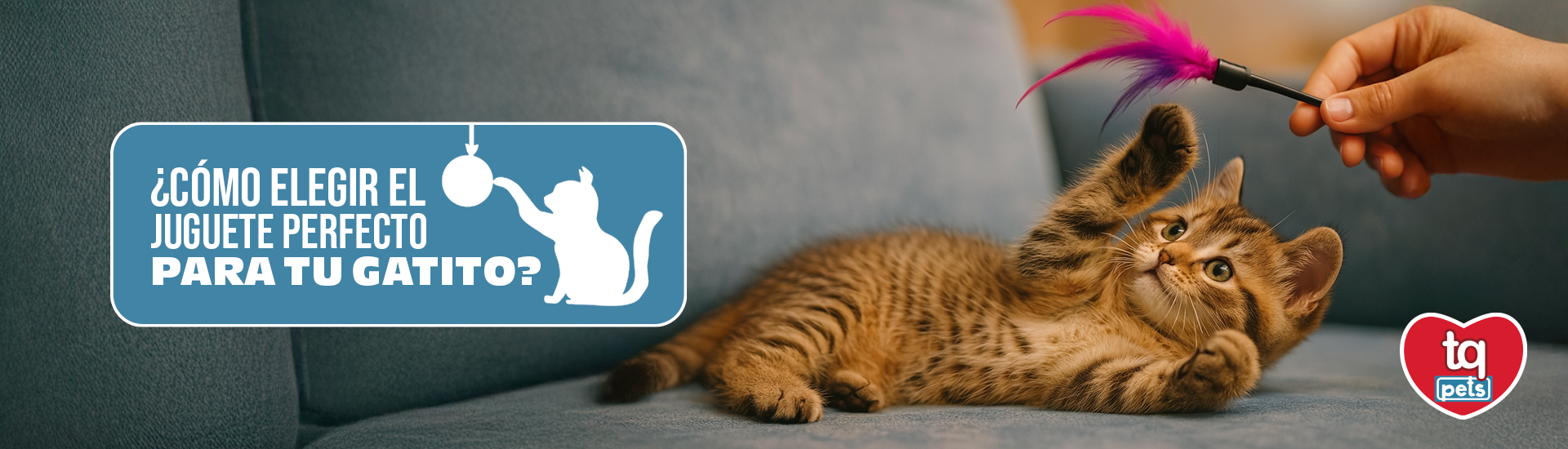 BANNER-TQPETS