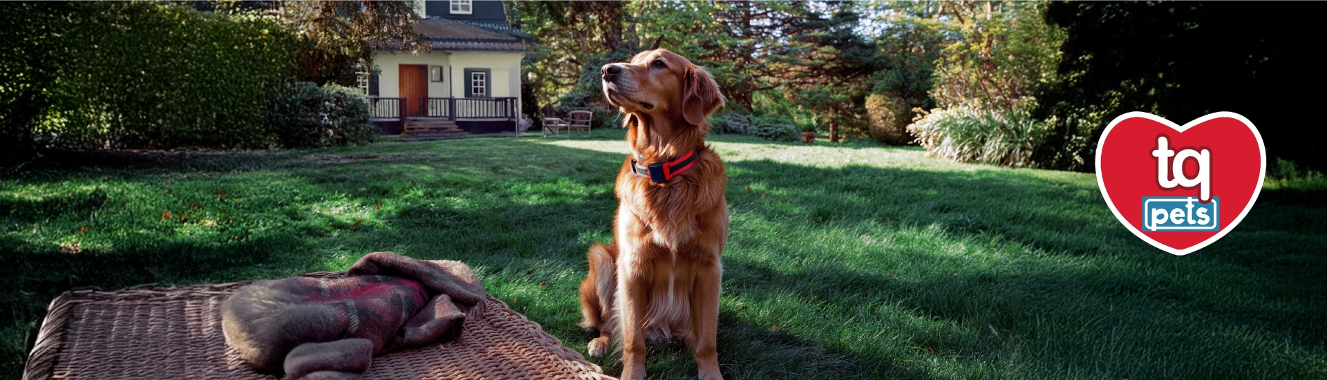 Innovación-y-gadgets-para-mascotas.-Logo