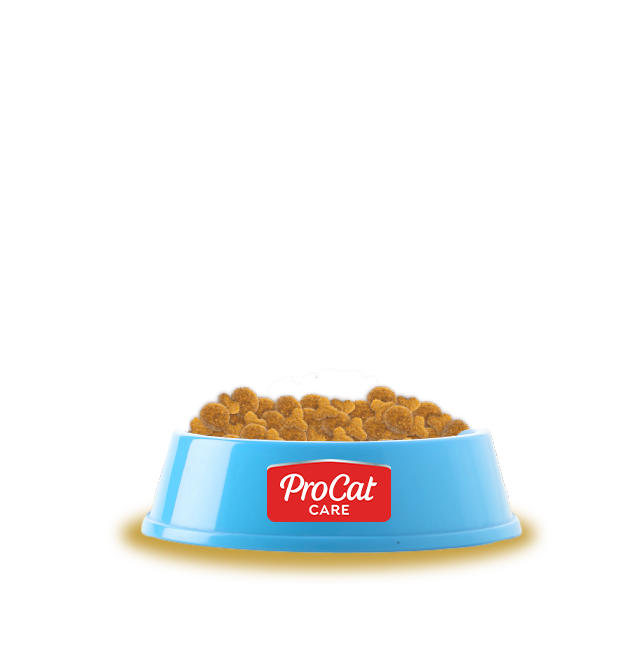 consentido_off consentido_on