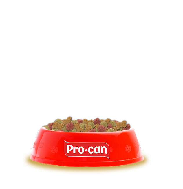 jugueton_off jugueton_on