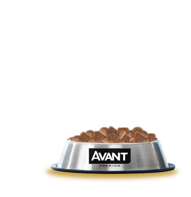 mimado_off mimado_on