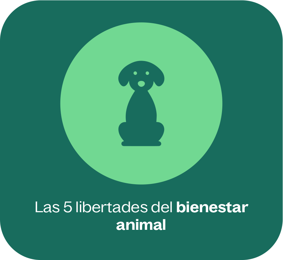 Las 5 libertades del bienestar animal Las 5 libertades del bienestar animal