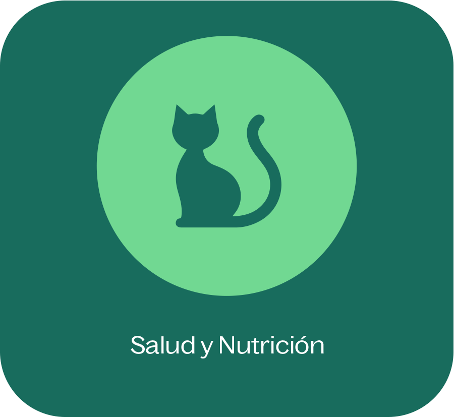 Salud y nutrición Salud y nutrición