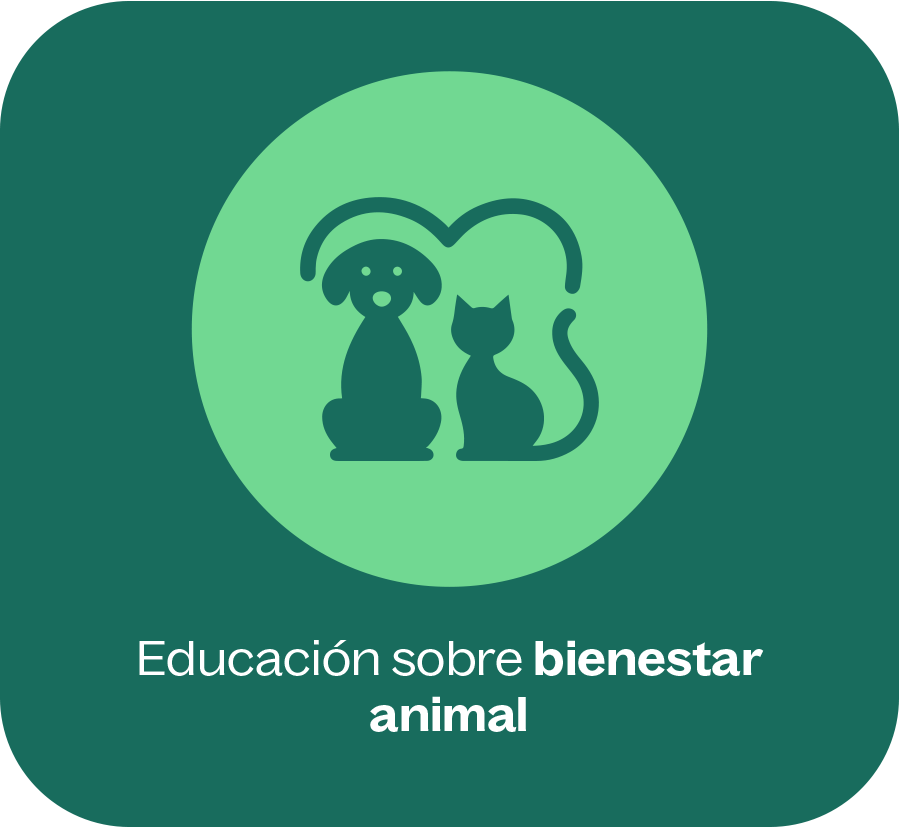 Educación sobre bienestar animal Educación sobre bienestar animal