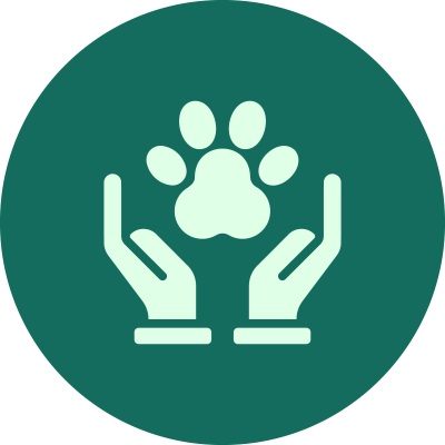 Comité de Bienestar Animal: Comité de Bienestar Animal: