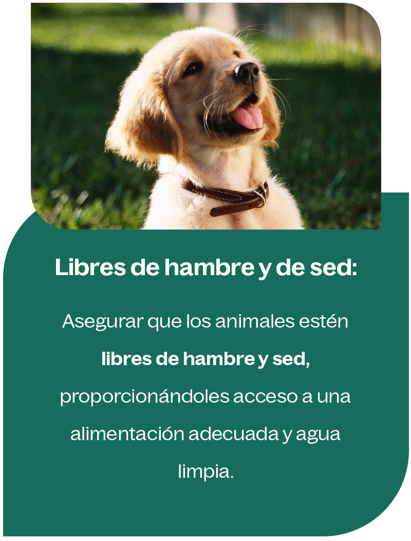 Libres de hambre y de sed Libres de hambre y de sed