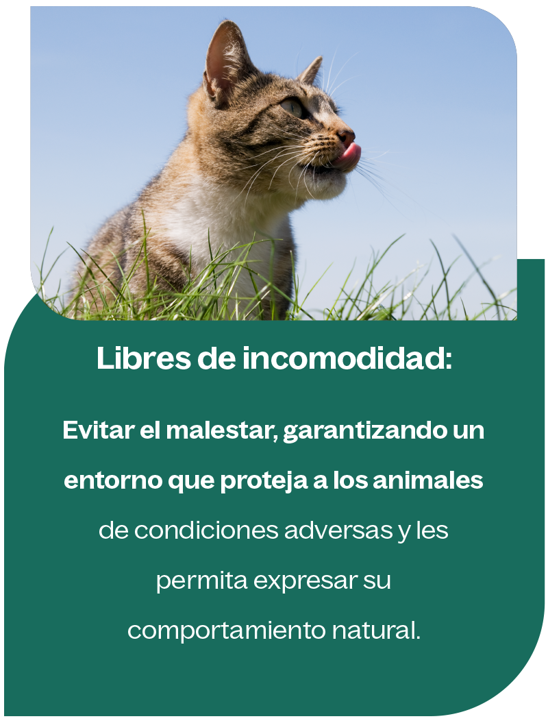 number1-info2-1 number1 info2 1 1