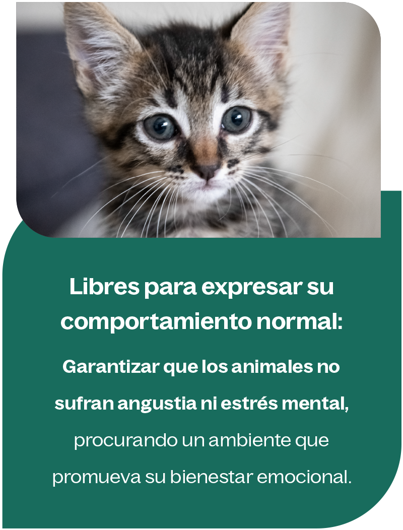 Libres para expresar su comportamiento normal Libres para expresar su comportamiento normal