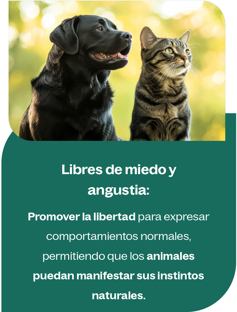 Libres de miedo y angustía Libres de miedo y angustía