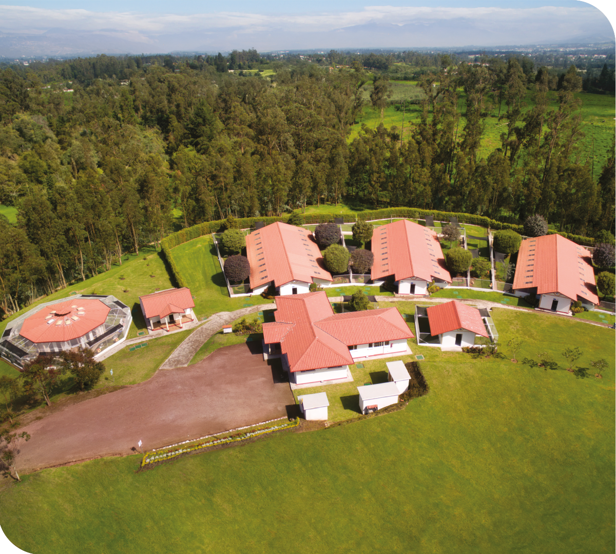 number1-mascota number1 mascota 2