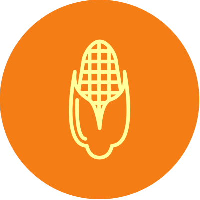 number2-ico1 number2 ico1