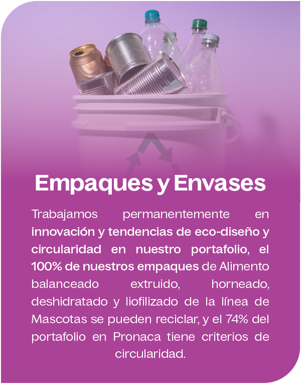 Empaques y Envases Empaques y Envases