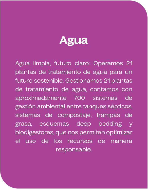 Agua Agua
