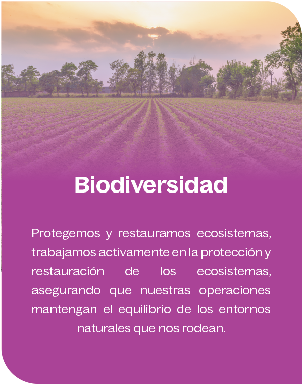 Biodiversidad Biodiversidad