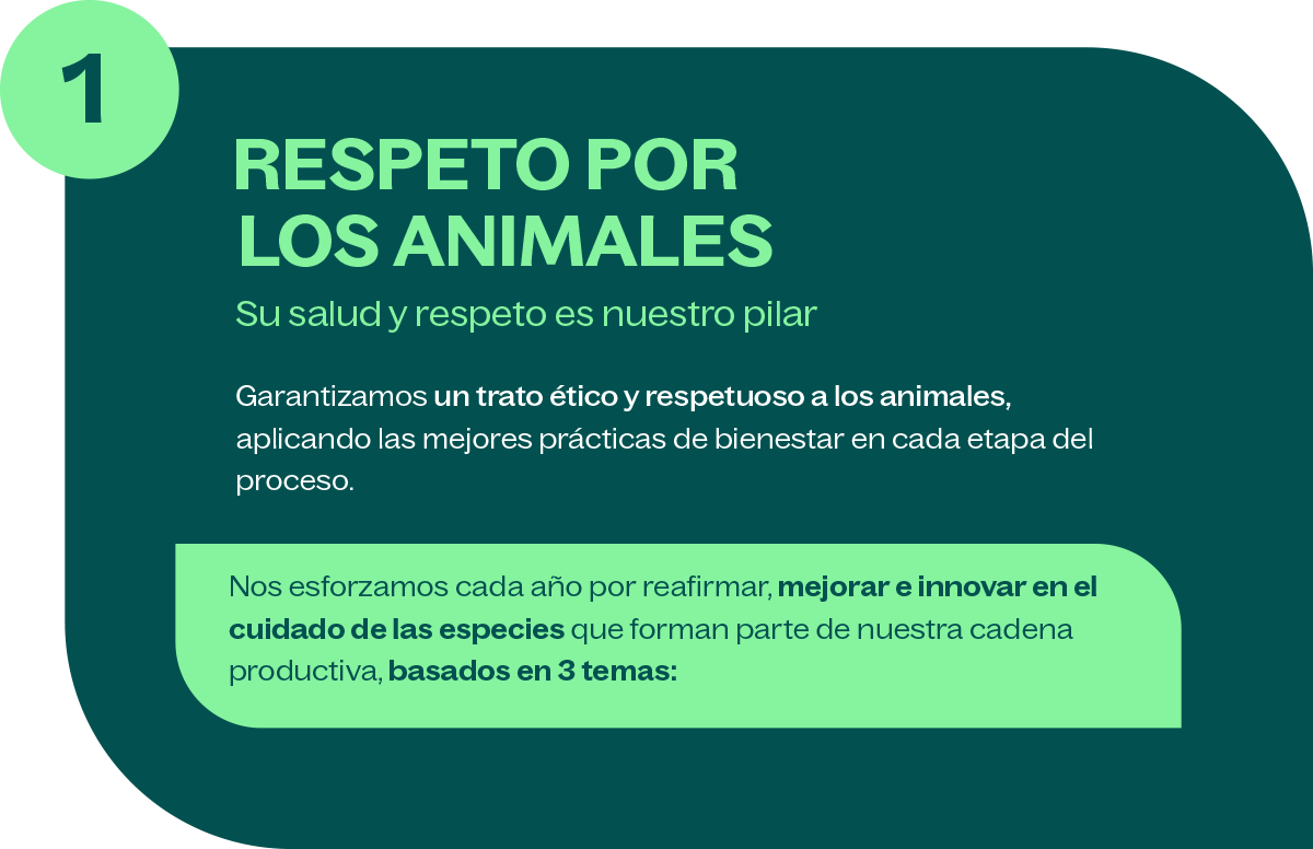 Respeto por los animales Respeto por los animales