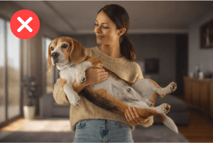 Cargar A Los Peluditos Como Bebés Puede Afectar Su Columna 1